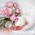 Variety of Flowers Collection DIY Painting